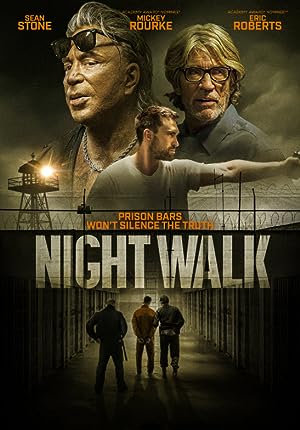 Cover image of the movie Night Walk (2019)