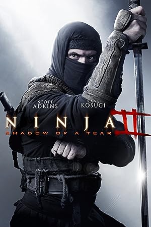 Cover image of the movie Ninja: Shadow of a Tear (2013)