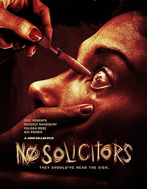 Cover image of the movie No Solicitors (2015)