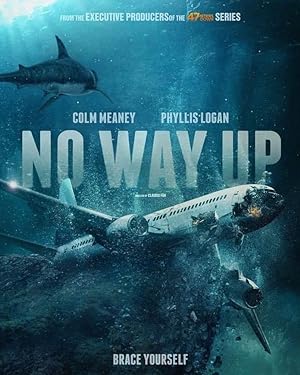 Cover image of the movie No Way Up (2024)