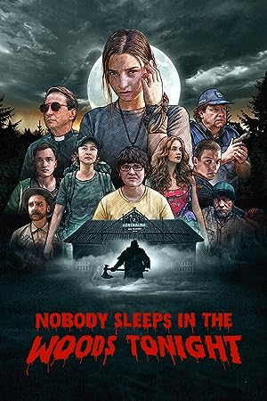 Cover image of the movie Nobody Sleeps in the Woods Tonight (2020)