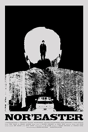 Cover image of the movie Nor'easter (2012)