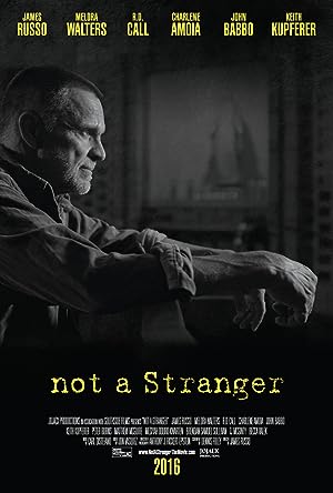 Cover image of the movie Not a Stranger (2018)