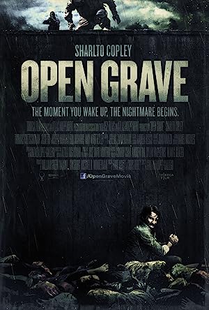 Cover image of the movie Open Grave (2013)