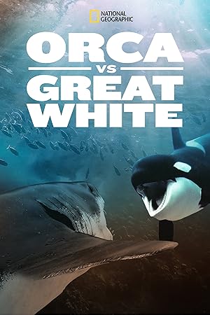 Cover image of the movie Orca vs. Great White (2021)