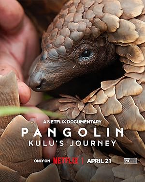 Cover image of the movie Pangolin: Kulu's Journey (2025)