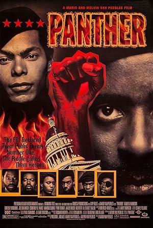 Cover image of the movie Panther (1995)