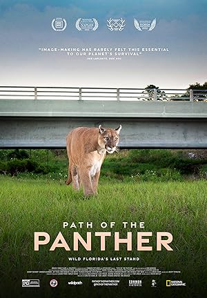 Cover image of the movie Path of the Panther (2022)