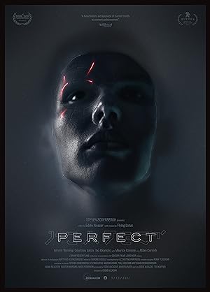 Cover image of the movie Perfect (2018)