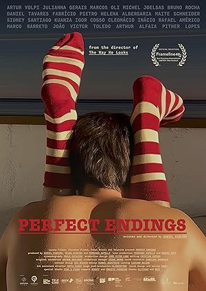 Cover image of the movie Perfect Endings (2024)