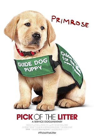 Cover image of the movie Pick of the Litter (2018)