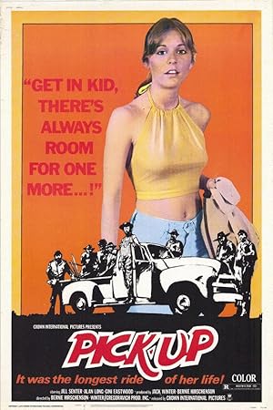 Cover image of the movie Pick-up (1975)