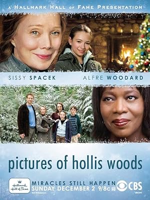 Cover image of the movie Pictures of Hollis Woods (2007)