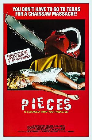 Cover image of the movie Pieces (1982)