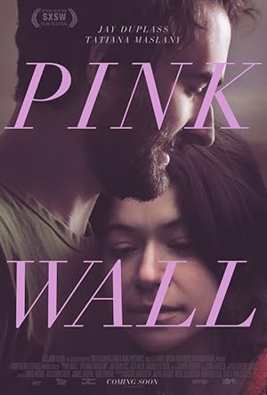 Cover image of the movie Pink Wall (2019)