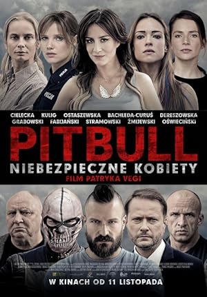 Cover image of the movie Pitbull: Tough Women (2016)