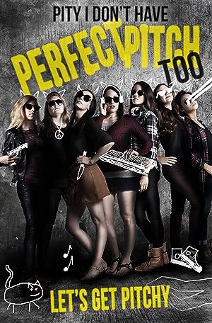 Cover image of the movie Pity I Don't Have Perfect Pitch Too (2017)