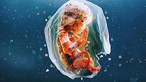 Cover image of the movie Plastic People (2024)