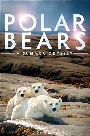 Cover image of the movie Polar Bears: A Summer Odyssey (2012)