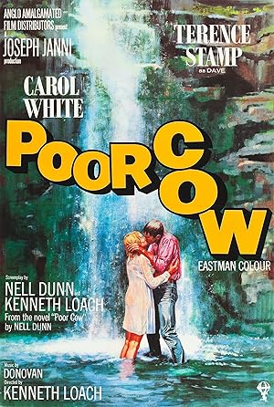 Cover image of the movie Poor Cow (1967)