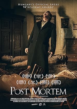 Cover image of the movie Post Mortem (2020)