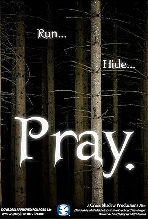 Cover image of the movie Pray. (2007)