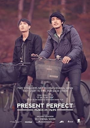 Cover image of the movie Present Perfect (2017)
