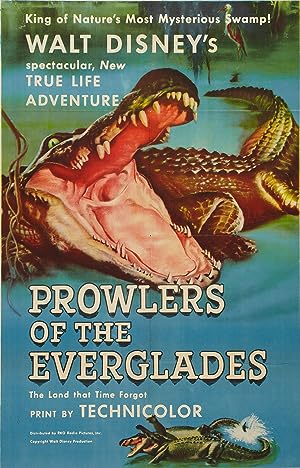 Cover image of the movie Prowlers of the Everglades (1953)