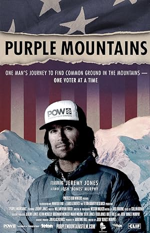 Cover image of the movie Purple Mountains (2020)