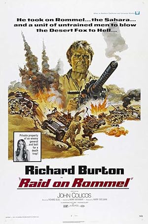 Cover image of the movie Raid on Rommel (1971)