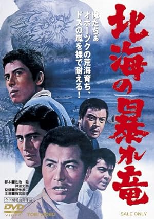 Cover image of the movie Rampaging Dragon of the North (1966)