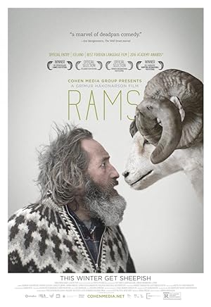 Cover image of the movie Rams (2015)