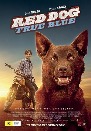 Cover image of the movie Red Dog: True Blue (2016)