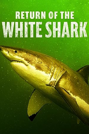 Cover image of the movie Return of the White Shark (2023)
