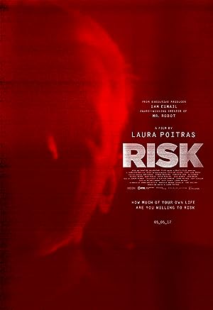 Cover image of the movie Risk (2016)