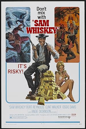 Cover image of the movie Sam Whiskey (1969)