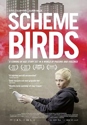Cover image of the movie Scheme Birds (2019)