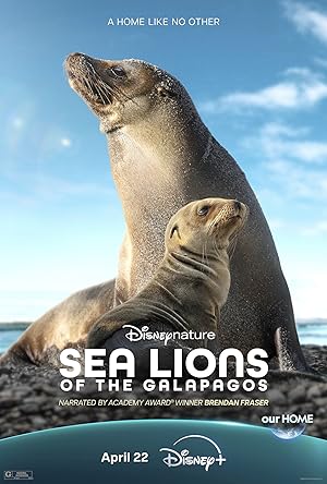 Cover image of the movie Sea Lions of the Galapagos (2025)