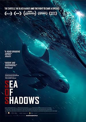 Cover image of the movie Sea of Shadows (2019)