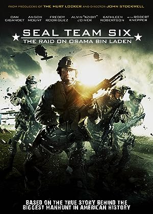 Cover image of the movie Seal Team Six: The Raid on Osama Bin Laden (2012)