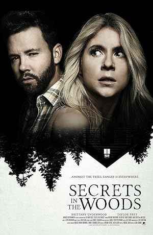 Cover image of the movie Secrets in the Woods (2020)