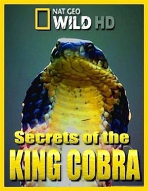 Cover image of the movie Secrets of the King Cobra (2010)