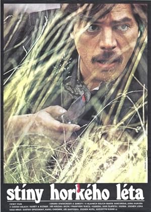 Cover image of the movie Shadows of a Hot Summer (1978)