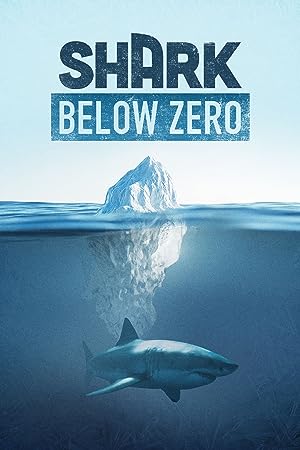 Cover image of the movie Shark Below Zero (2023)