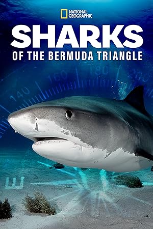 Cover image of the movie Sharks of the Bermuda Triangle (2020)
