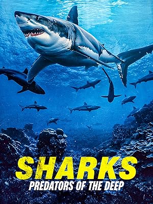 Cover image of the movie Sharks: Predators of the Deep (2024)