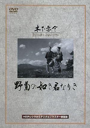 Cover image of the movie She Was Like a Wild Chrysanthemum (1955)