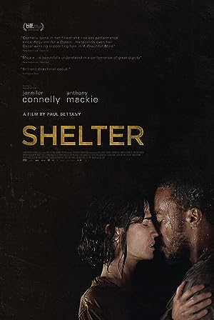 Cover image of the movie Shelter (2014)
