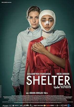 Cover image of the movie Shelter (2017)