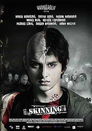 Cover image of the movie Skinning (2010)